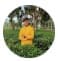 User Profile